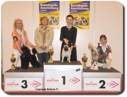 Xantana vom Kaltenbrunner Forst