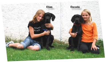 Elias und Escada vom Kaltenbrunner Forst