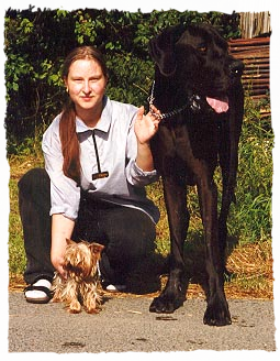 Hundepension Arnold