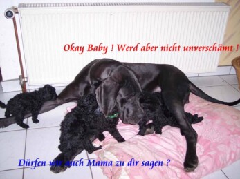 Ivett von Himmelkron