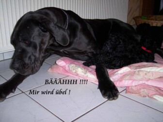 Ivett von Himmelkron